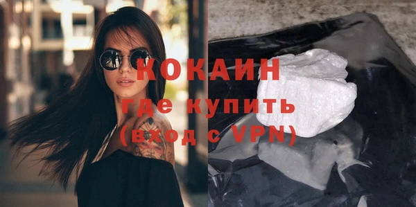 a pvp Пересвет