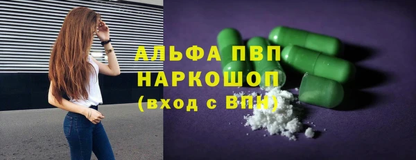 a pvp Пересвет