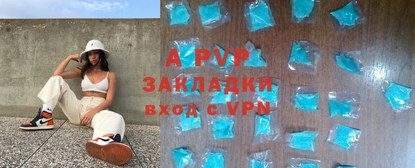 a pvp Пересвет