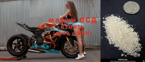 a pvp Пересвет