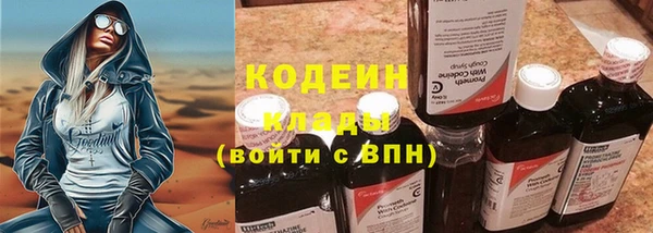 a pvp Пересвет