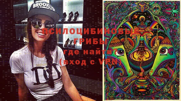 a pvp Пересвет